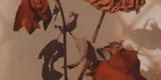 Imagem do grupo de WhatsApp ✨Blood blokeid⛓