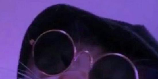 Imagem do grupo de WhatsApp Apaixonou perdeu👌