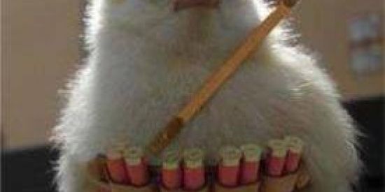 Imagem do grupo de WhatsApp 🔯PINTO WAR ZN🔯