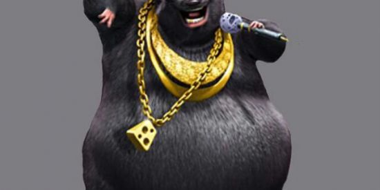 Imagem do grupo de WhatsApp Shitzapppppoo