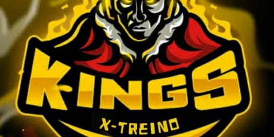 Imagem do grupo de WhatsApp 📲💻XTREINO KINGS💻📲