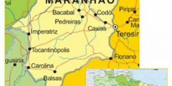 Imagem do grupo de WhatsApp Doações são luis