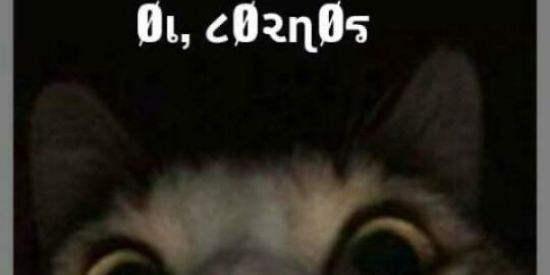 Imagem do grupo de WhatsApp 🔥TUDO C͢OR͢NO🔥