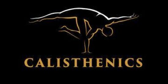 Imagem do grupo de WhatsApp ⚡Calisthenics⚡