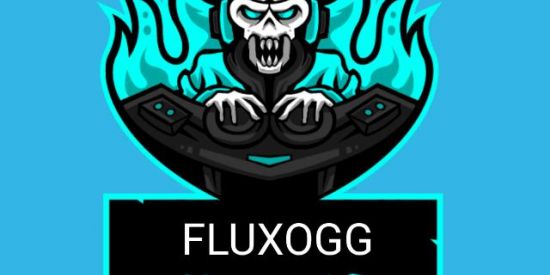 Imagem do grupo de WhatsApp FLUXOGG