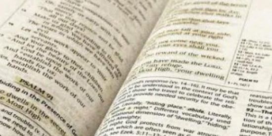 Imagem do grupo de WhatsApp Vivendo em Cristo