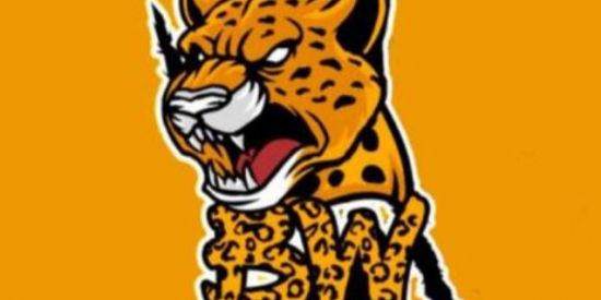 Imagem do grupo de WhatsApp PENEIRA lines BW ESPORTS 🐆 free fire