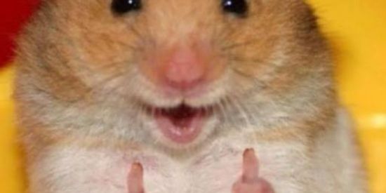 Imagem do grupo de WhatsApp •Figurinhas•✌️🤡