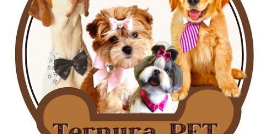 Imagem do grupo de WhatsApp Ternuras  Pet🐶🐩🐈🐕🐕‍🦺🐾