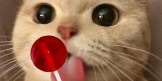 Imagem do grupo de WhatsApp ÁREA 51🤫