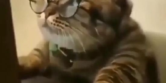 Imagem do grupo de WhatsApp 💸Monetizando💸