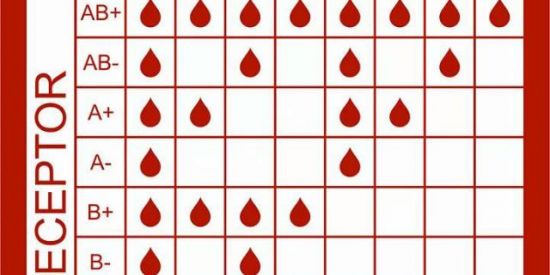 Imagem do grupo de WhatsApp Sangue (O +/- )💉🅾️