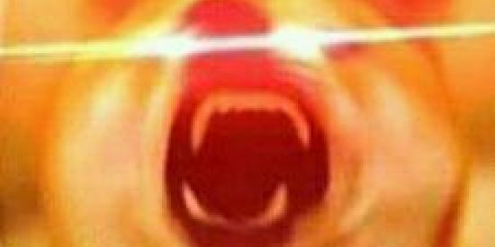 Imagem do grupo de WhatsApp figurinhas mano