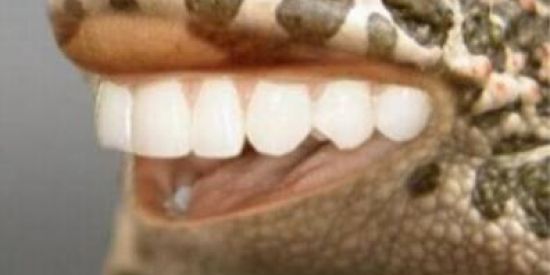 Imagem do grupo de WhatsApp O MUNDO É NOSSO!!!👌😎♒