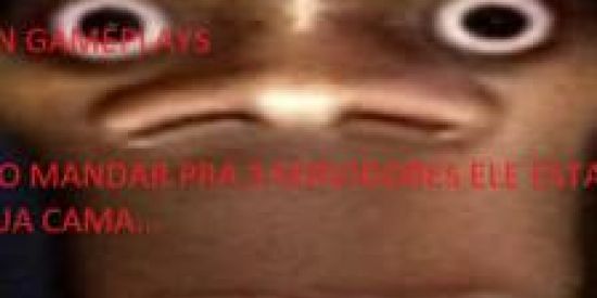 Imagem do grupo de WhatsApp SHITPOST RAIZ