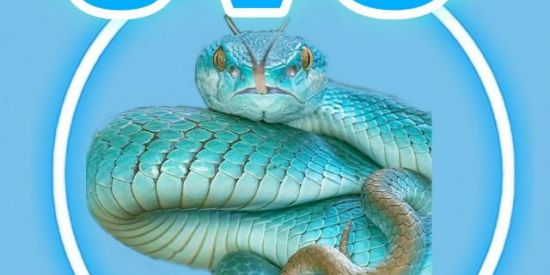 Imagem do grupo de WhatsApp MULTIRÃO °JVC°✨