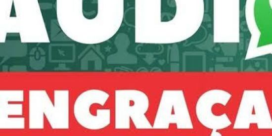 Imagem do grupo de WhatsApp Só Vale Áudios engraçados