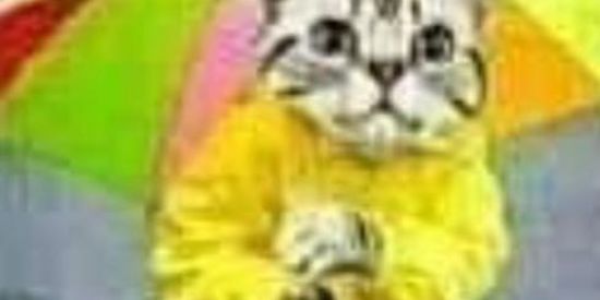 Imagem do grupo de WhatsApp fa clube lucca santos