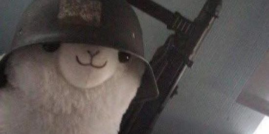 Imagem do grupo de WhatsApp TOCA DO TATU