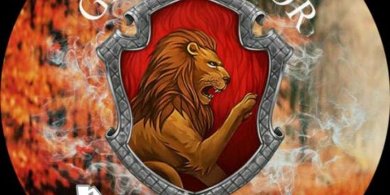 Imagem do grupo de WhatsApp Rᴇᴄʀᴜᴛᴀᴍᴇɴᴛᴏ Gʀʏғғɪɴᴅᴏʀ🦁