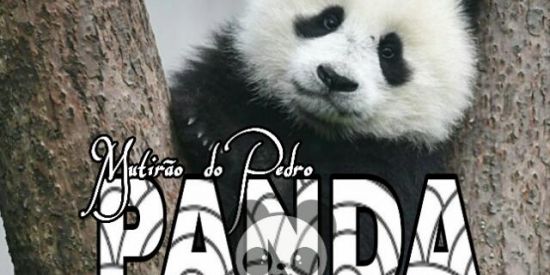 Imagem do grupo de WhatsApp PROJETO MUTIRÃO DO PEDRO