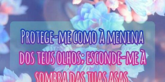 Imagem do grupo de WhatsApp 💞🌸Amigas Cristãs   🙌🏽🌷