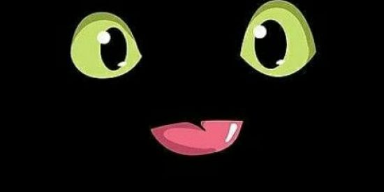 Imagem do grupo de WhatsApp Grupo da loucura 🥴