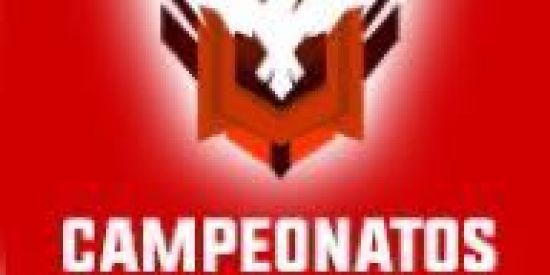 Imagem do grupo de WhatsApp Divulgação campeonatos FreeFire
