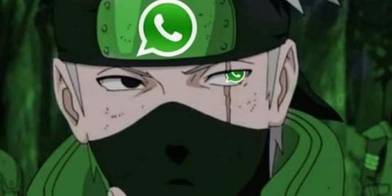 Imagem do grupo de WhatsApp C A V A L O 🐴