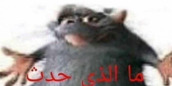 Imagem do grupo de WhatsApp Figurinhas🍦