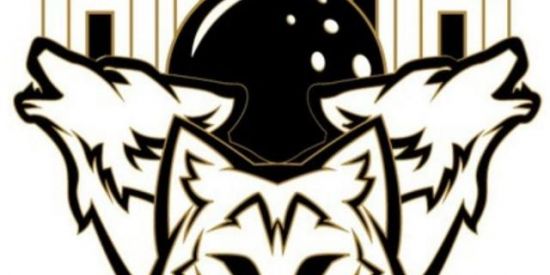 Imagem do grupo de WhatsApp Wolfatlas Brasil