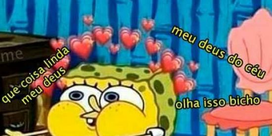 Imagem do grupo de WhatsApp Dps nos vê isso 🤡