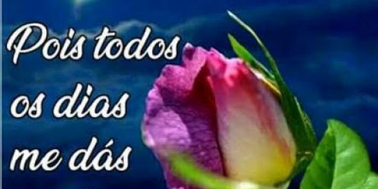 Imagem do grupo de WhatsApp Uma ajuda por Favor