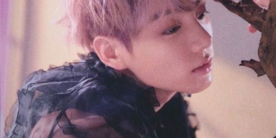 Imagem do grupo de WhatsApp oimo insta!