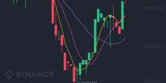 Imagem do grupo de WhatsApp NOVOS CONHECIMENTOS