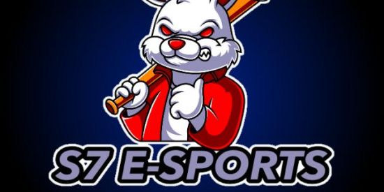 Imagem do grupo de WhatsApp RECRUTAMENTO S7 E-SPORTS💯