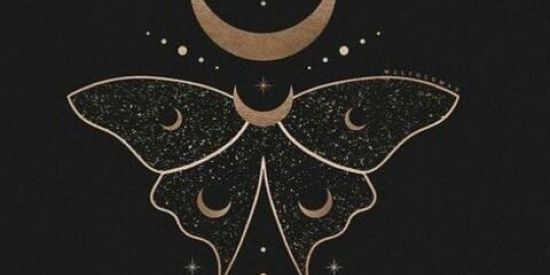 Imagem do grupo de WhatsApp 🍄Wicca e Bruxaria🌾