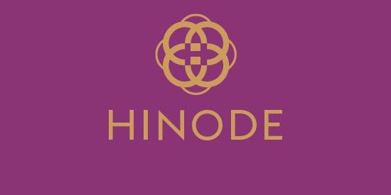 Imagem do grupo de WhatsApp Vira consultor da hinode