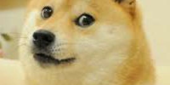 Imagem do grupo de WhatsApp 🎇CRIADOR DE FIGURIRNHAS🎆