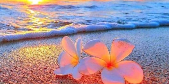 Imagem do grupo de WhatsApp 🍹Ulalá!🍹