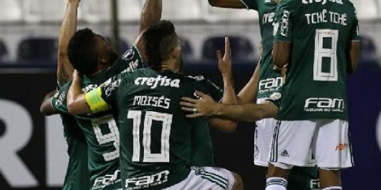 Imagem do grupo de WhatsApp Grupo PALMEIRAS 💚🐽🐷