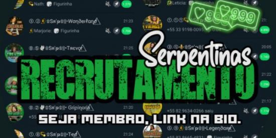 Imagem do grupo de WhatsApp 🐍ʀᴇᴄʀᴜᴛᴀᴍᴇɴᴛᴏ sᴇʀᴘᴇɴᴛɪɴᴀs🐍