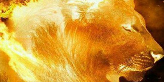 Imagem do grupo de WhatsApp Conselho do Deus Salvador