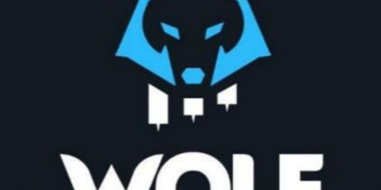 Imagem do grupo de WhatsApp Recepção Wolf Grupo(2)