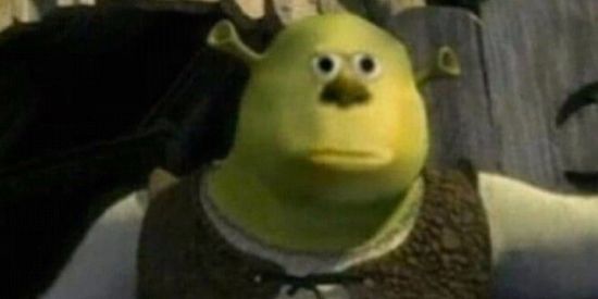 Imagem do grupo de WhatsApp SHITPOSTER 😔🤚