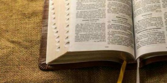 Imagem do grupo de WhatsApp Alimento Diário