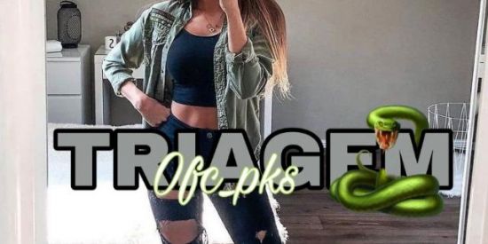 Imagem do grupo de WhatsApp 🐍TRIAGEM🐍