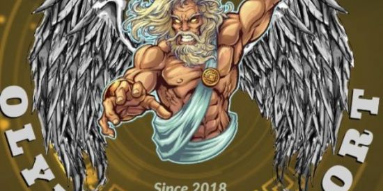 Imagem do grupo de WhatsApp Recrutamento guilda Olymp