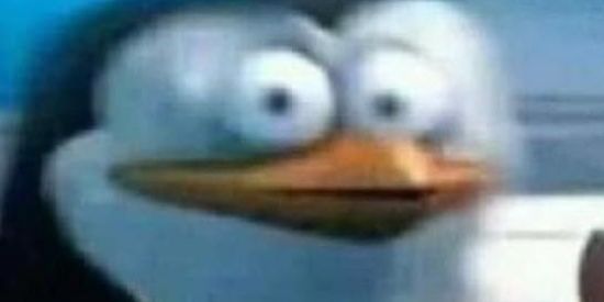 Imagem do grupo de WhatsApp $Respeita os brodher$