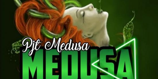 Imagem do grupo de WhatsApp ❶.❶| 🐍 ᴍᴇᴅᴜsᴀ🐍